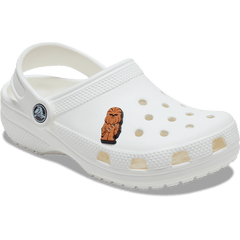 Star Wars Chewbacca Jibbitz™ charms | Crocs US