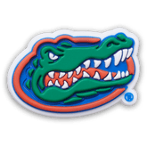 University of Florida Jibbitz™ charms | Crocs for sale