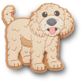 b'Golden Doodle Puppy Jibbitz Shoe Charm | Crocs' online