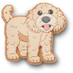 b'Golden Doodle Puppy Jibbitz Shoe Charm | Crocs' online