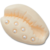 Pearl Puka Shell Jibbitz™ charms | Crocs online