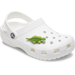 3D Green Dino with Scales Jibbitz™ charms | Crocs sale
