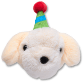 Record Your Own Sound Birthday Jibbitz™ charms | Crocs sale
