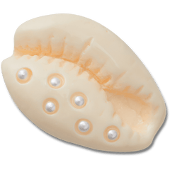 Pearl Puka Shell Jibbitz™ charms | Crocs online