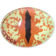 Hazel Animal Eye Jibbitz™ charms | Crocs near me