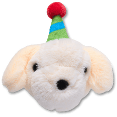 Record Your Own Sound Birthday Jibbitz™ charms | Crocs sale