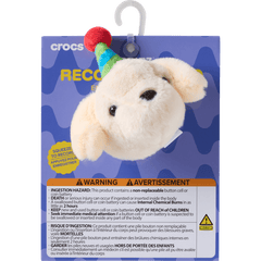 Record Your Own Sound Birthday Jibbitz™ charms | Crocs sale