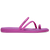Grapeberry