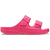 Dragon Fruit
